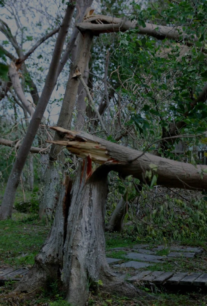 應急與公共服務